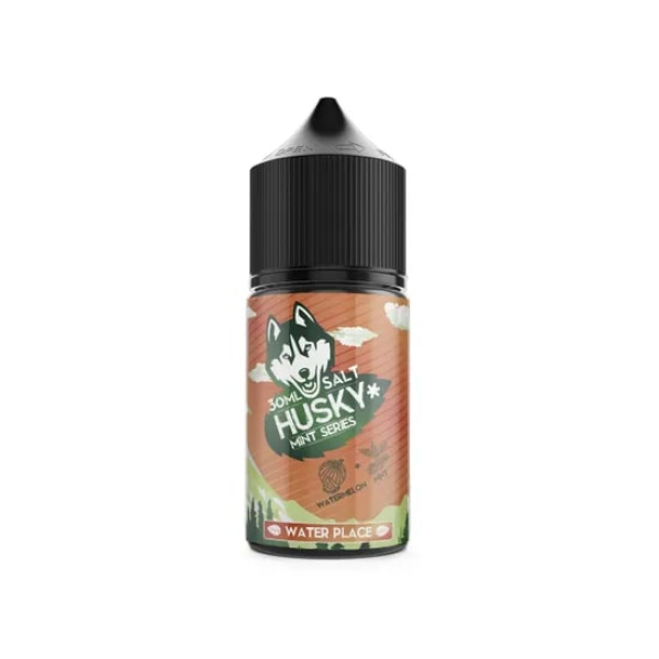 Жидкость Husky salt Mint series Water Place (Арбуз холодок) (30 мл, 20 мг/мл) в Севастополе